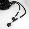 o2sensors.jpg